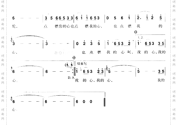 花一样的岁月花一样的年轮