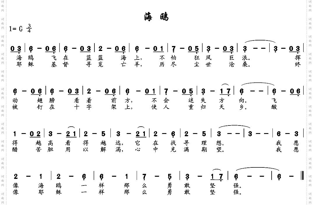 海鸥