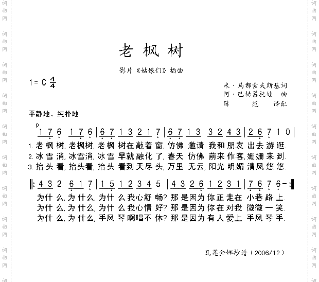老枫树