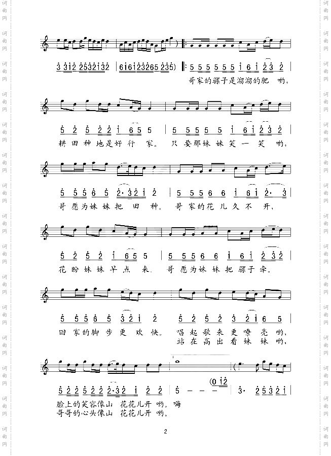 窑洞里的红花花