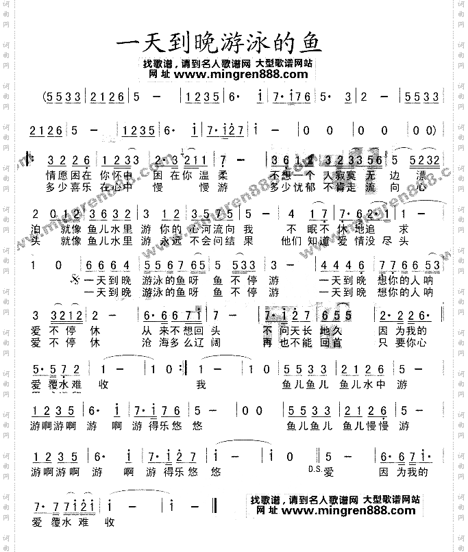 一天到晚游泳的鱼