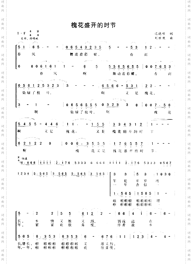 槐花盛开的季节