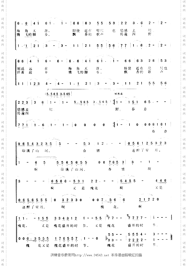 槐花盛开的季节