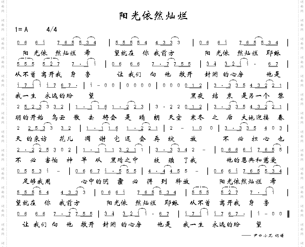 阳光依然灿烂