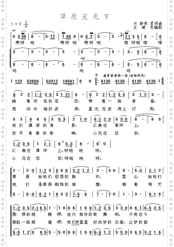 草原星光下