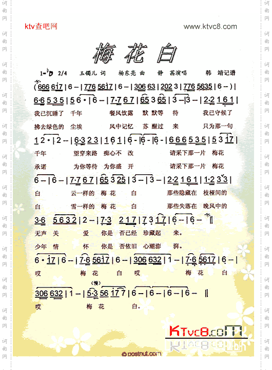 梅花白