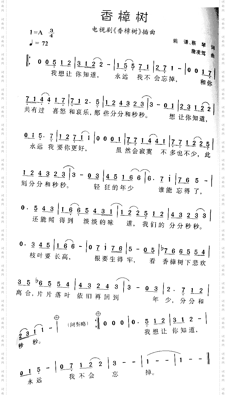 香樟树
