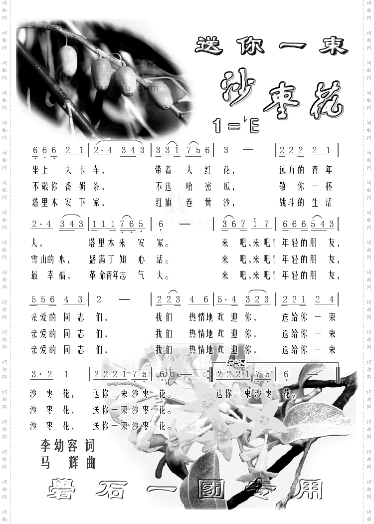 送你一束沙枣花