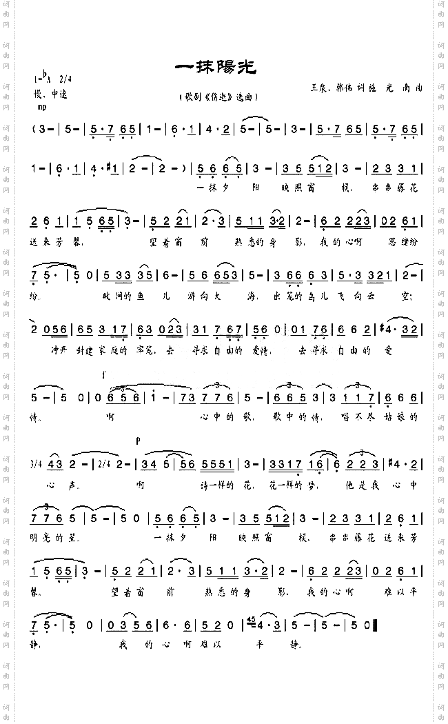 一抹阳光