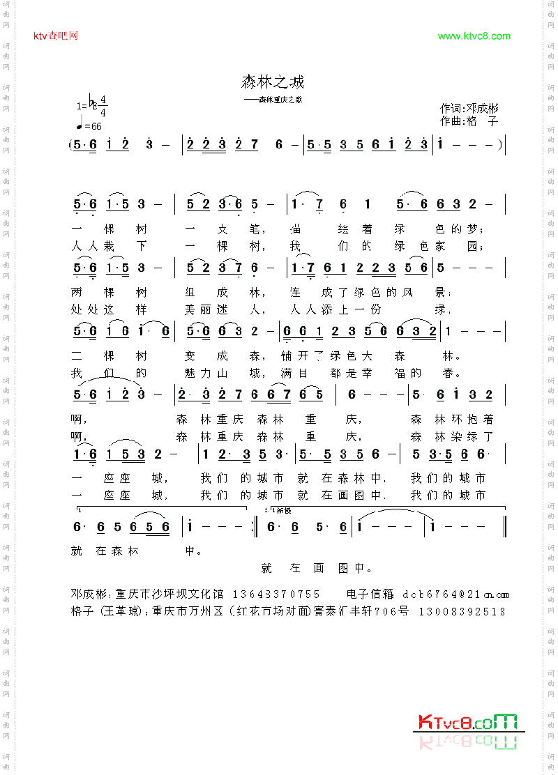 森林之城