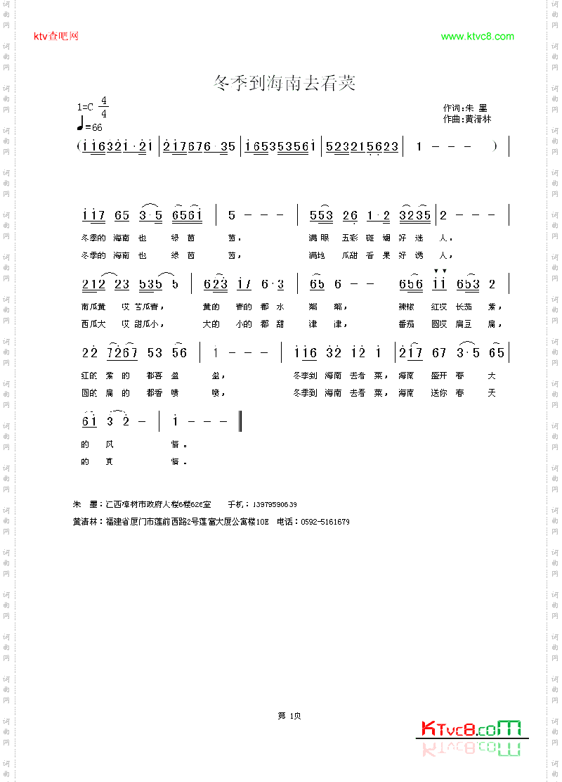 冬季到海南去看菜