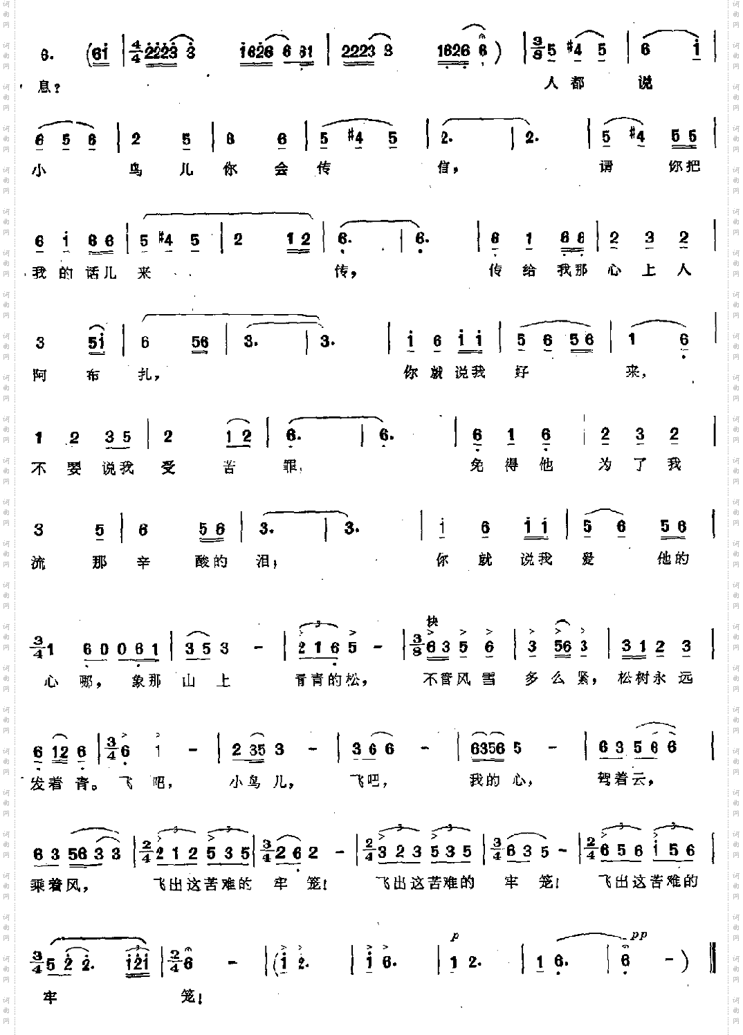 飞出这苦难牢笼2