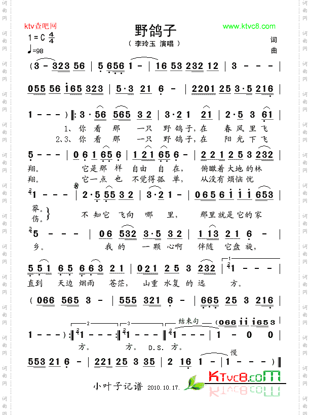 野鸽子