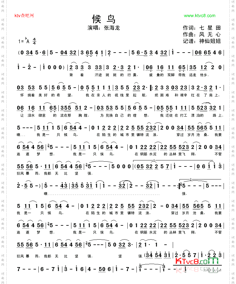 候鸟