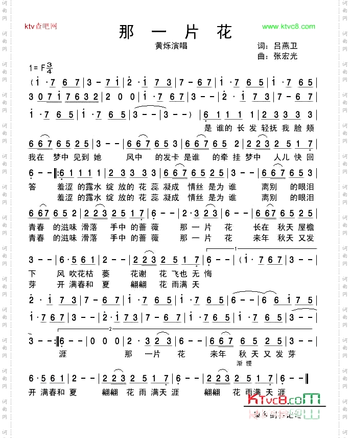 那一片花