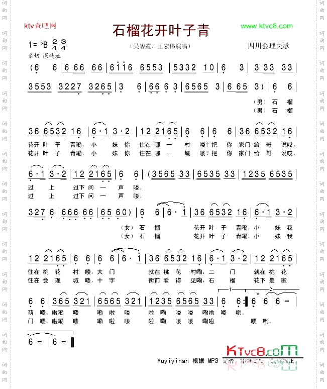石榴花开叶子青吴碧霞、王宏伟演唱版