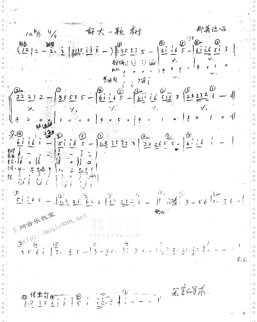 好大一棵树乐队乐谱[手稿]