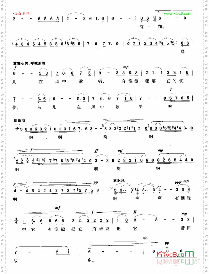 鸟儿在风中歌唱