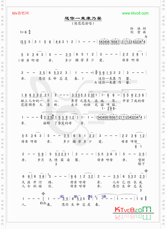 送你一束康乃馨