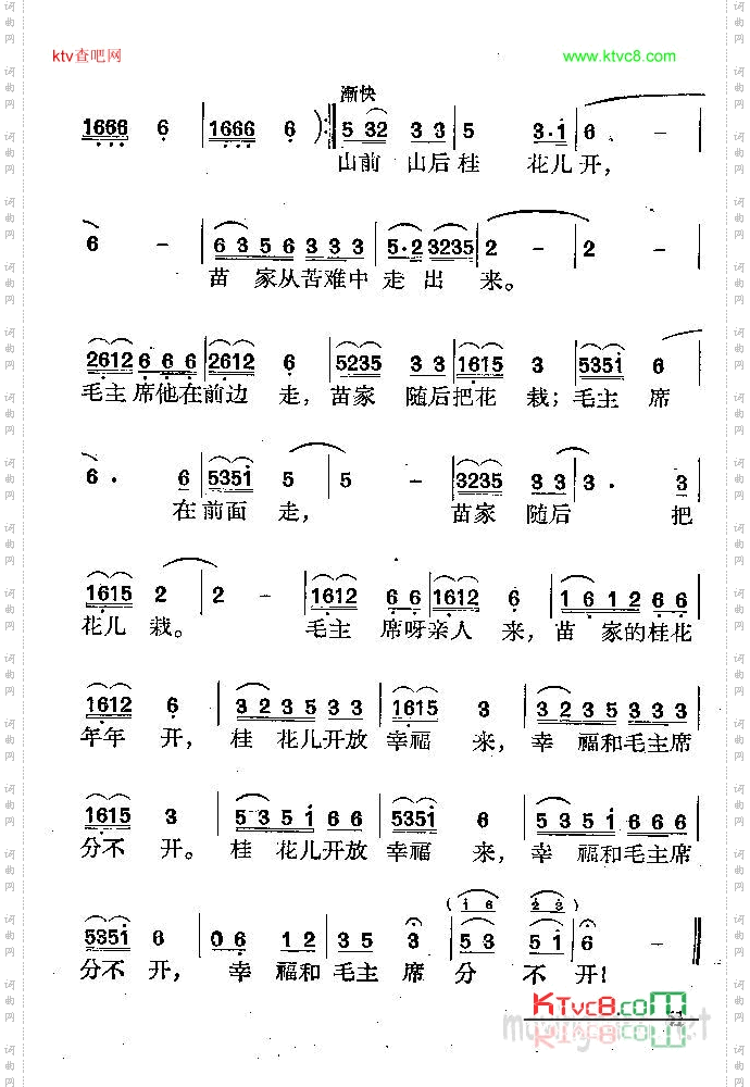 桂花开放幸福来