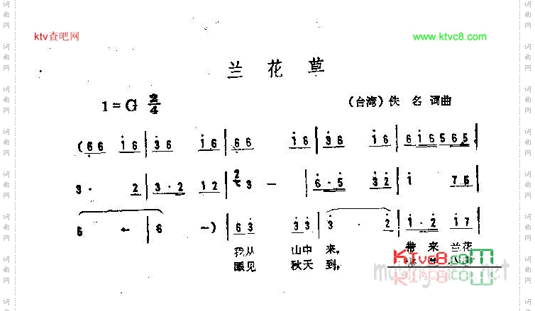 兰花草