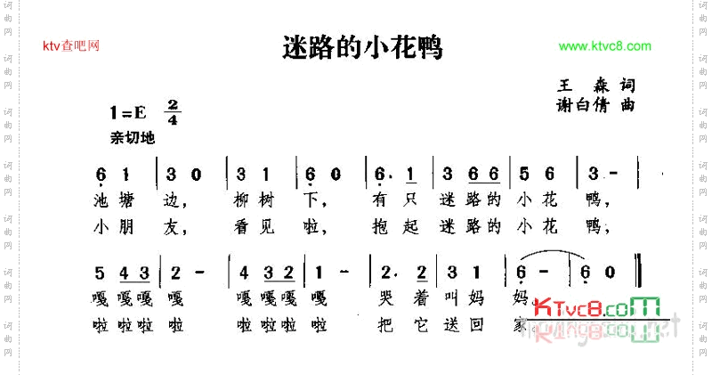 迷路的小花鸭