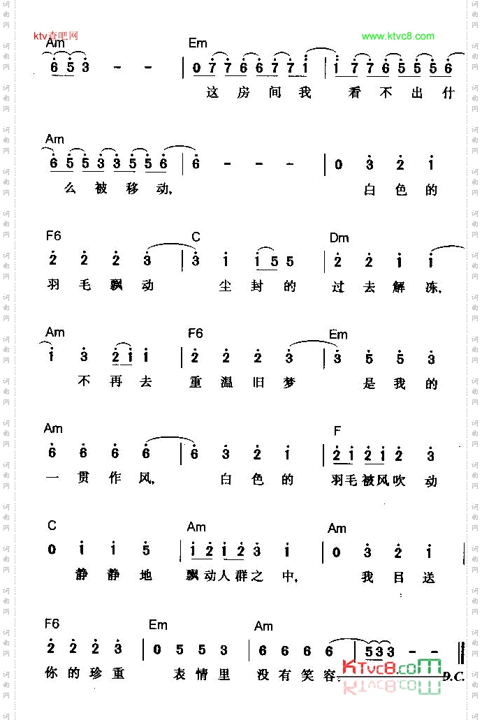 白色羽毛