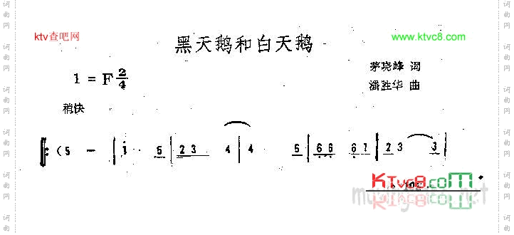 黑天鹅和白天鹅