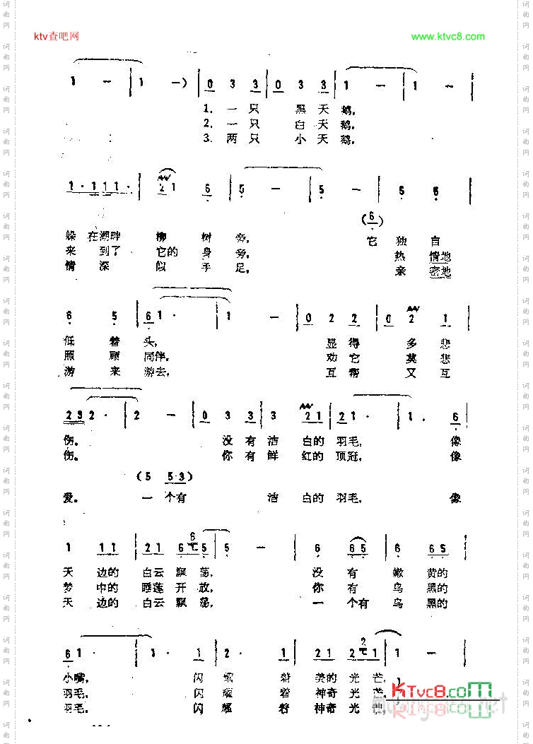 黑天鹅和白天鹅