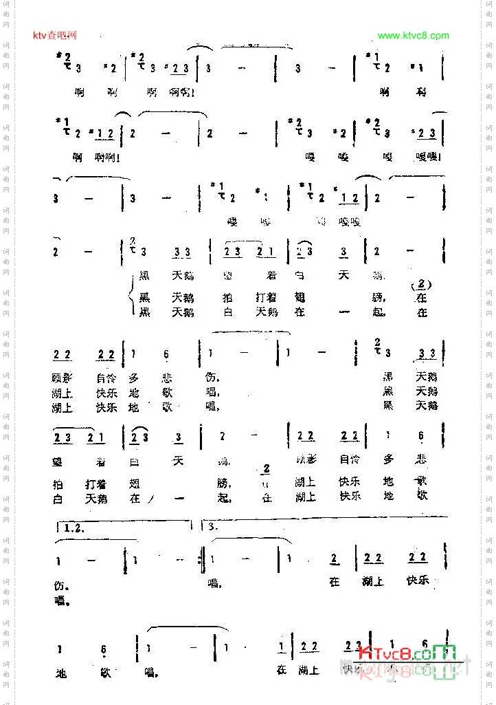 黑天鹅和白天鹅