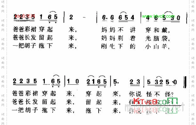 怪不怪