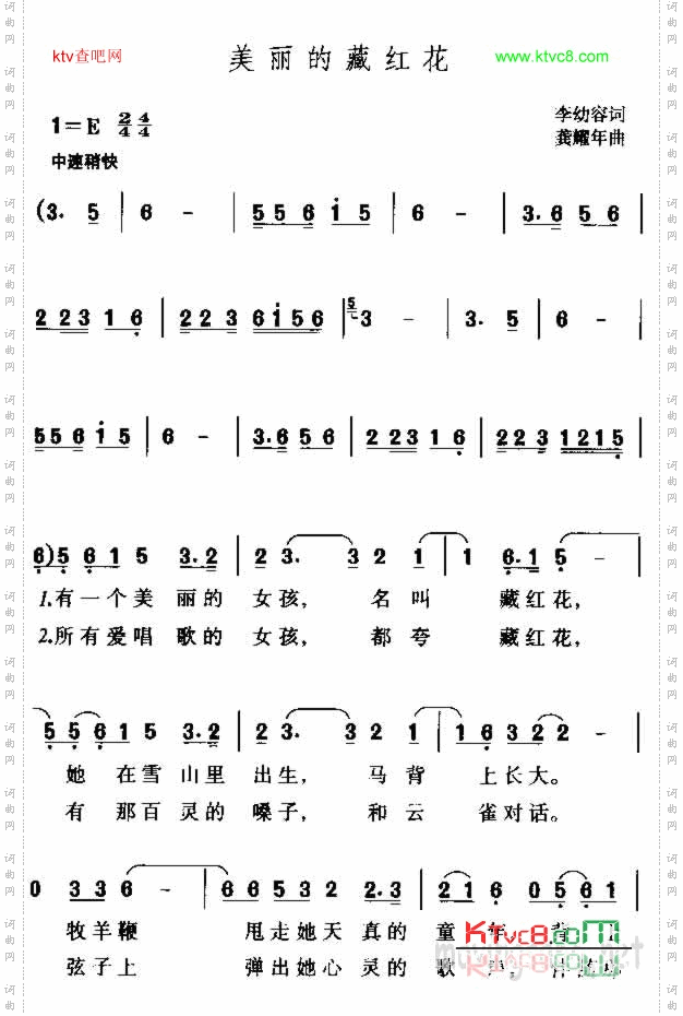 美丽的藏红花
