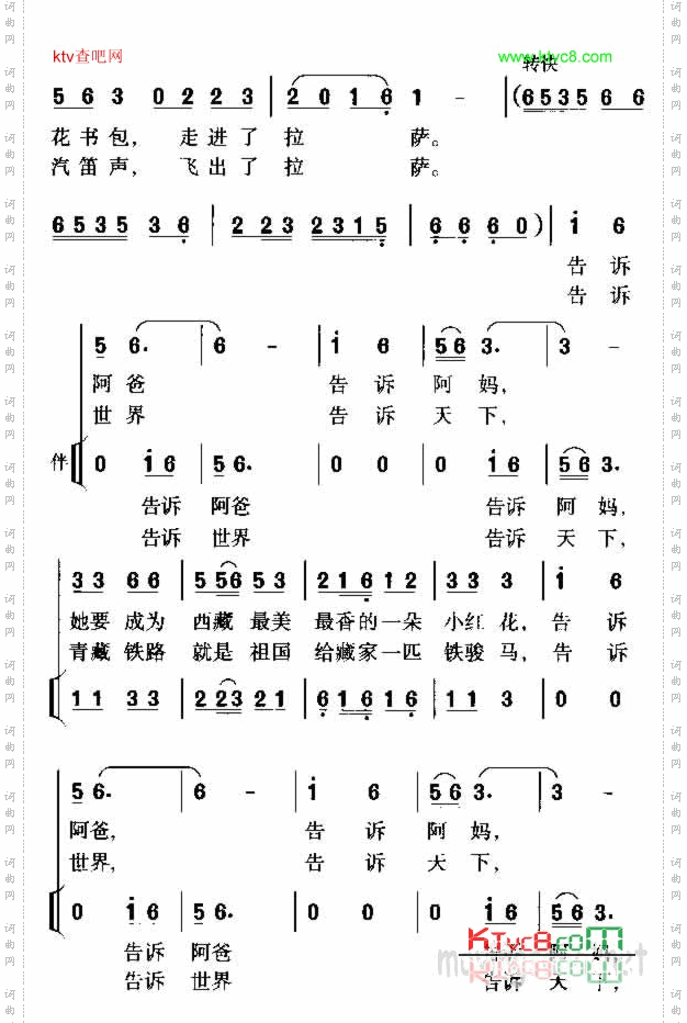 美丽的藏红花