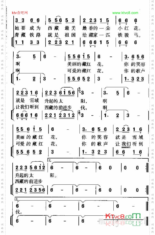 美丽的藏红花