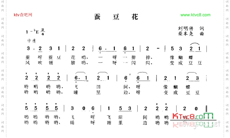 蚕豆花