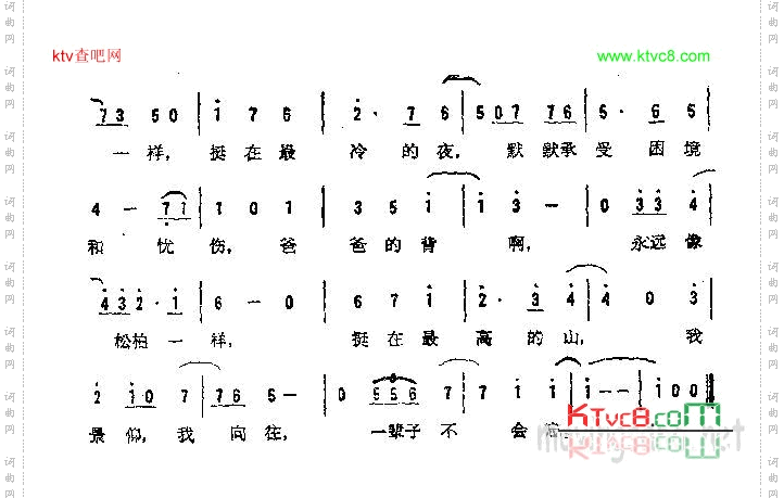 爸爸的背