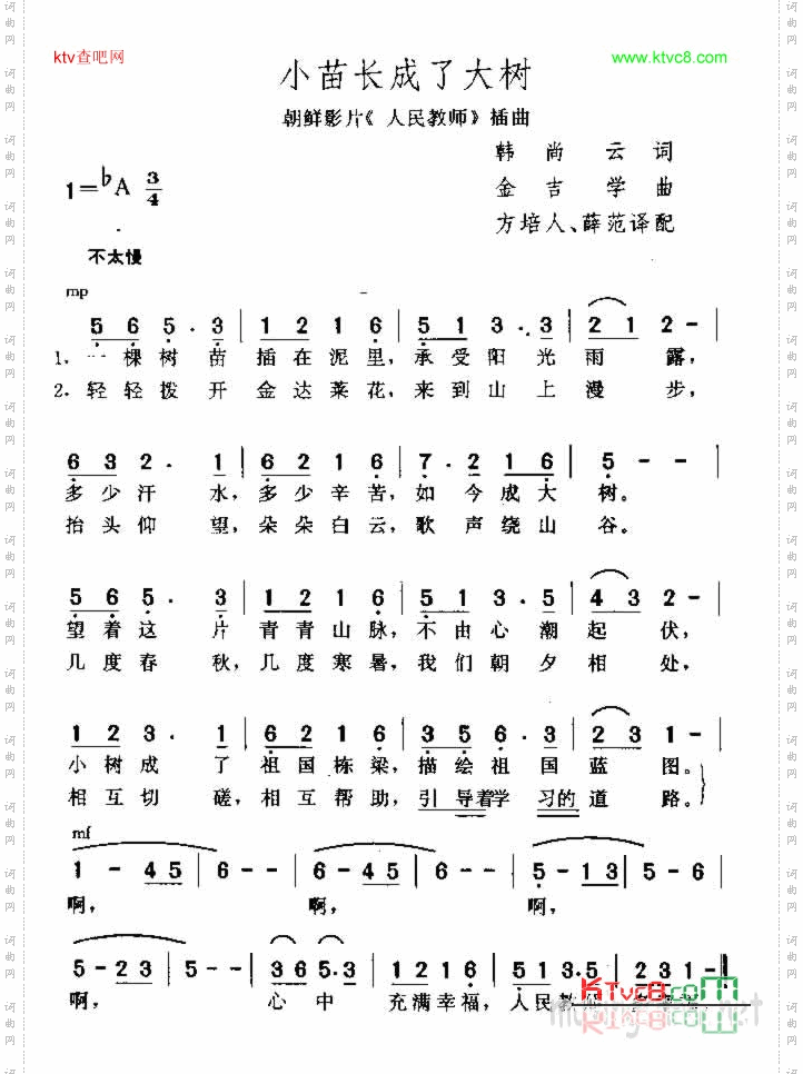 小苗长成了大树