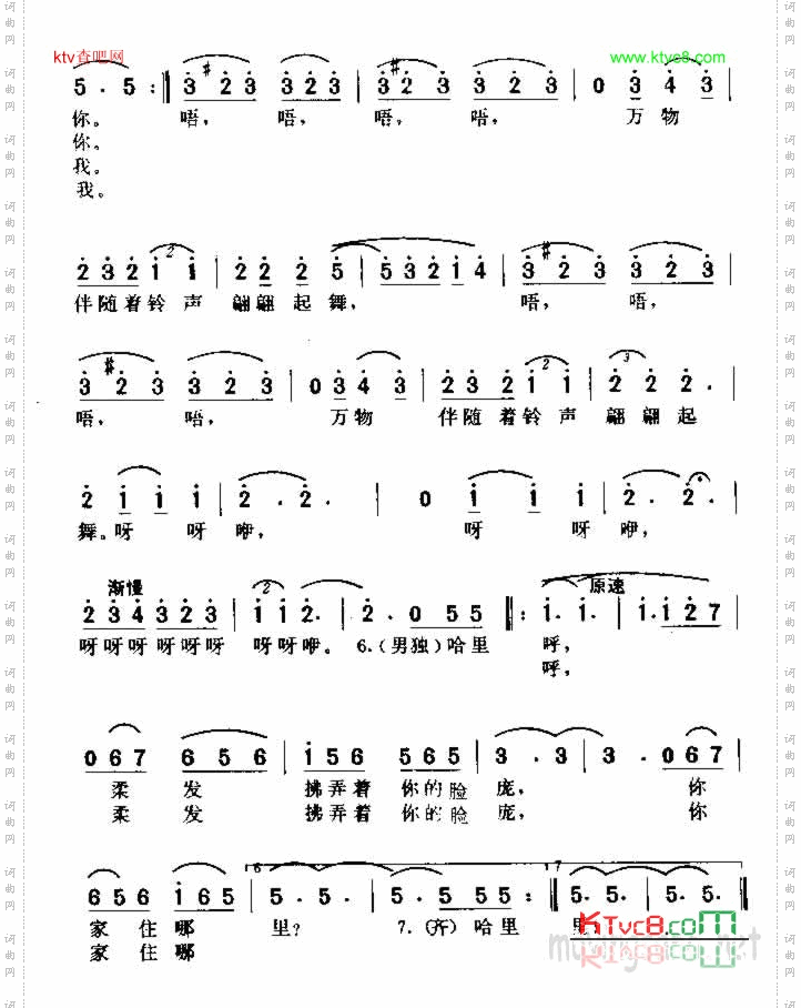 美丽的姑娘你在何方