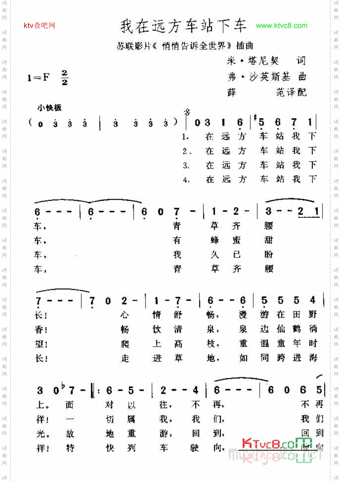 爱情与我无缘份
