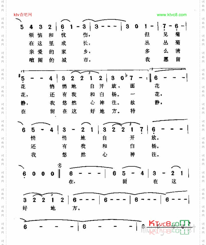 爱情与我无缘份