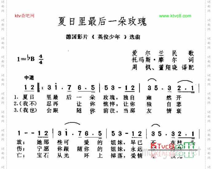 夏日里最后一朵玫瑰