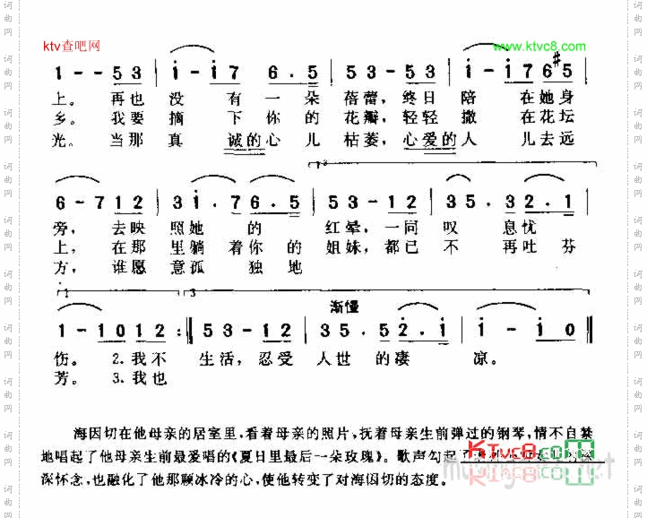 夏日里最后一朵玫瑰