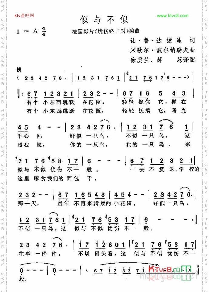 似与不似