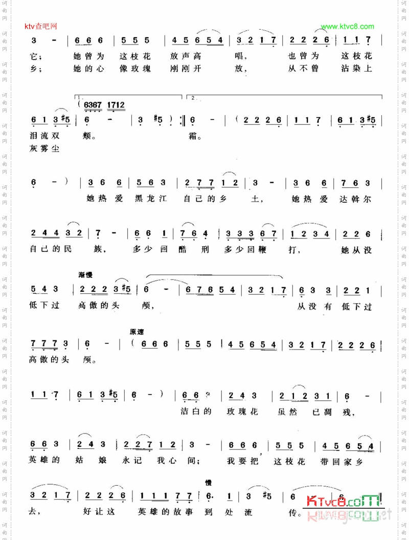 黑龙江岸边洁白的玫瑰花