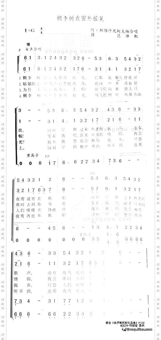 稠李树在窗外摇晃