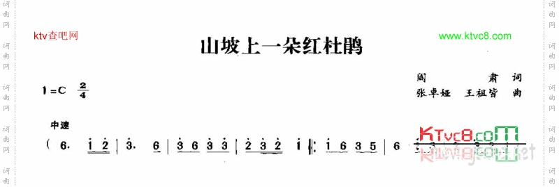 山坡上一朵红杜鹃