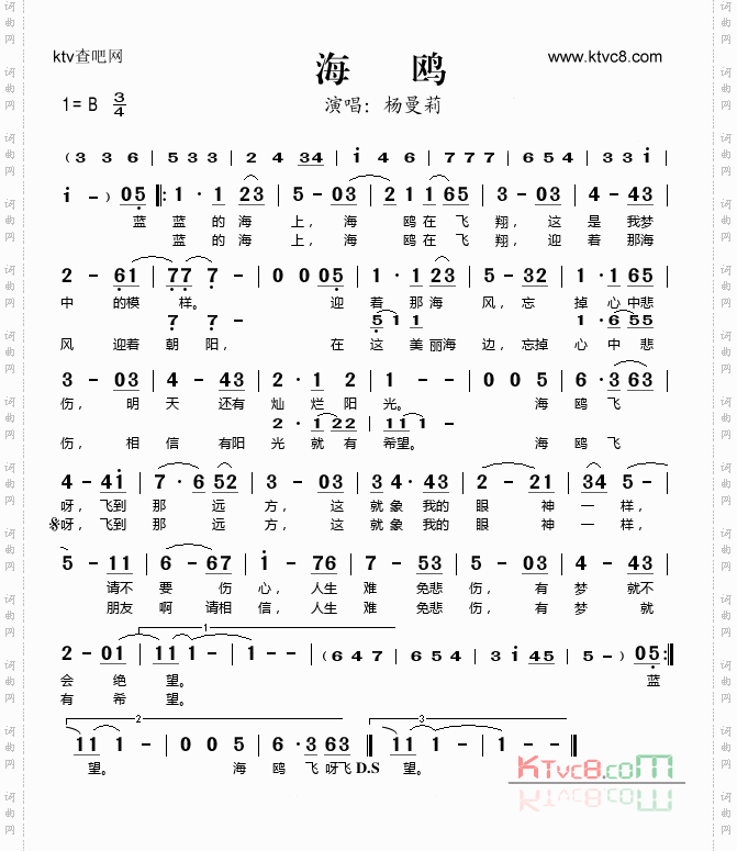 海鸥