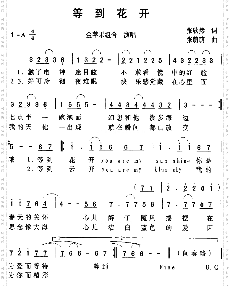 等到花开_金苹果组合
