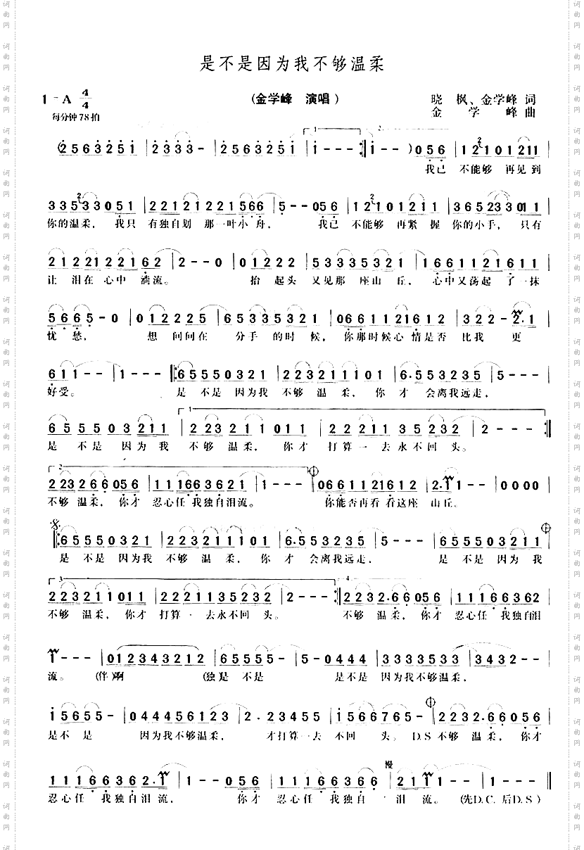 是不是因为我不够温柔