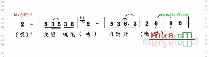 槐花几时开四川民歌